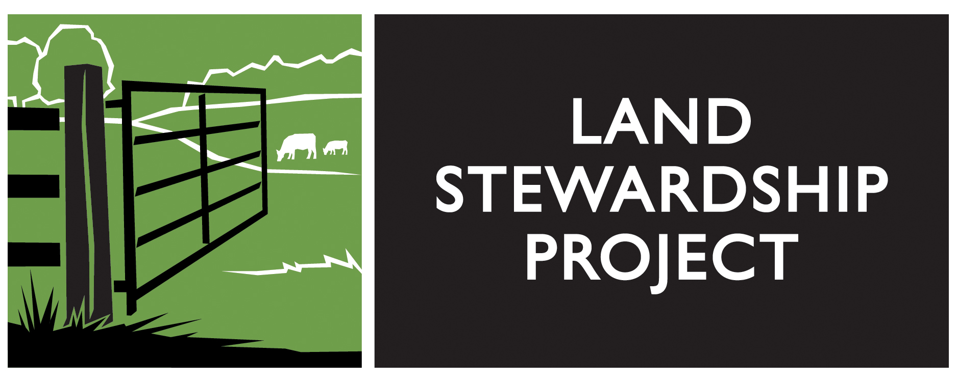 LSP Logo: Horizontal