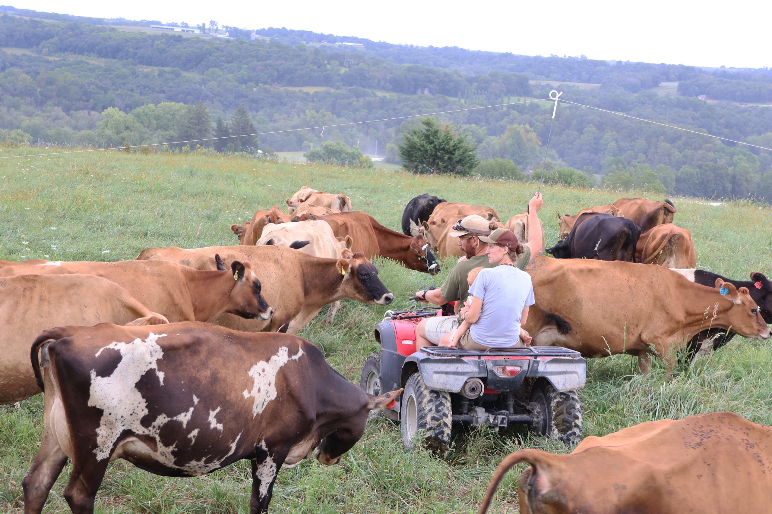 Ear to the Ground 349: Family, Farming & Forages