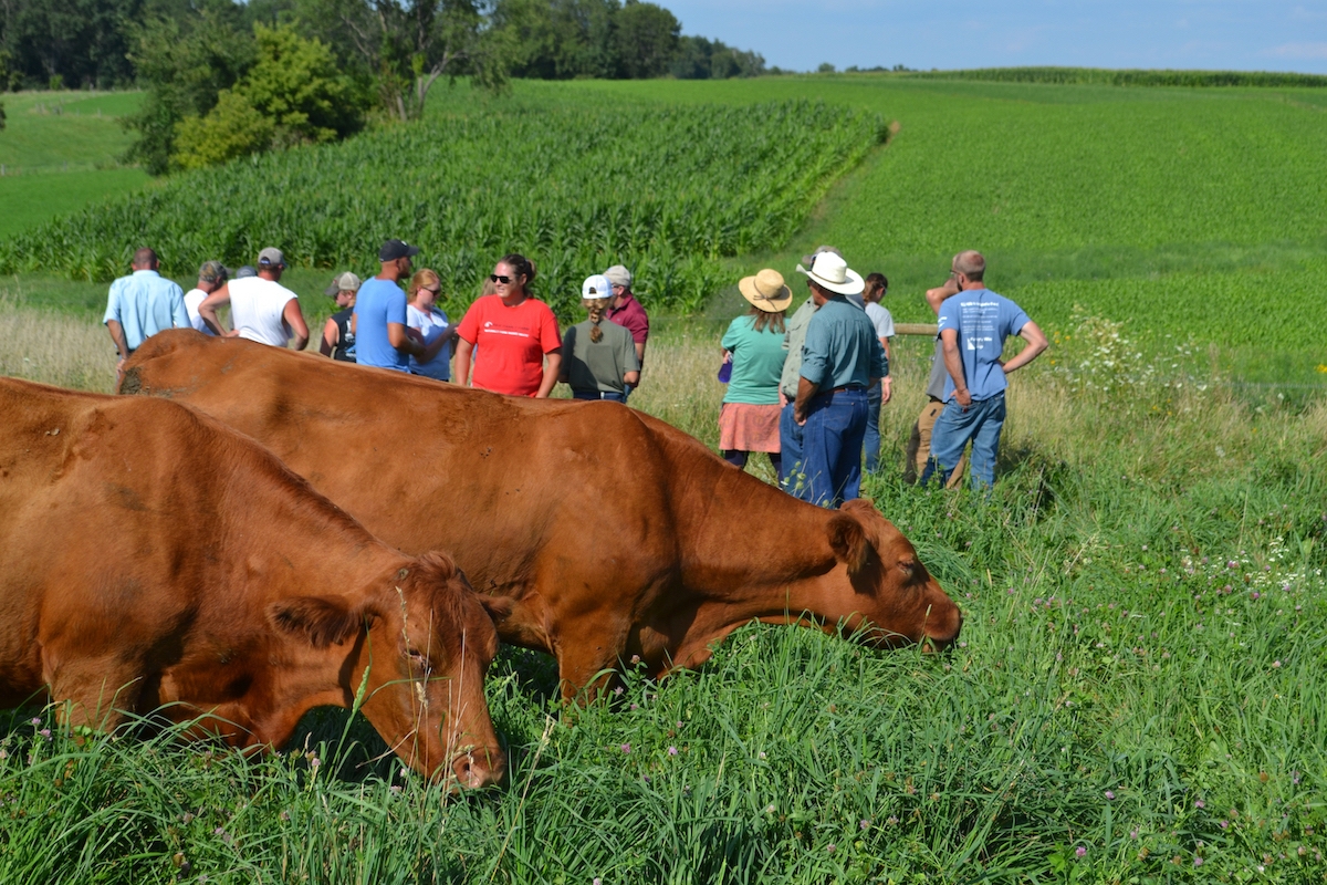 Ear to the Ground 308: Is Your Farm a Business?