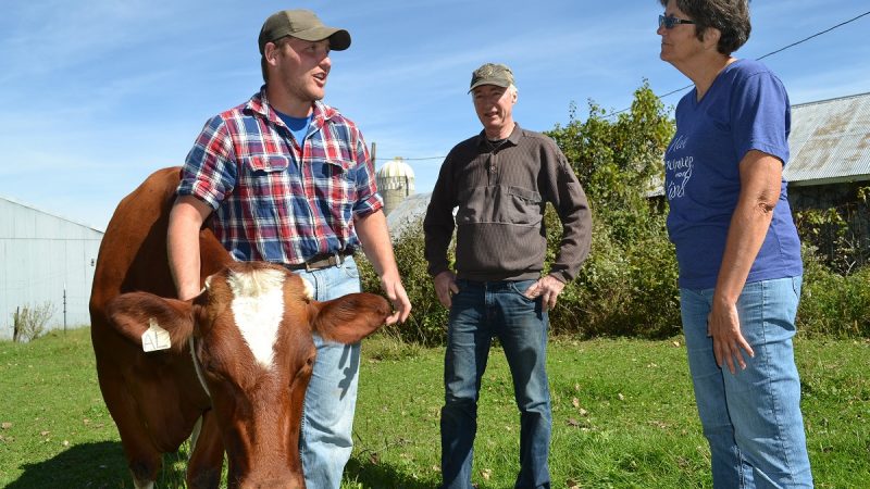 Farm Transition Planning Worksheet