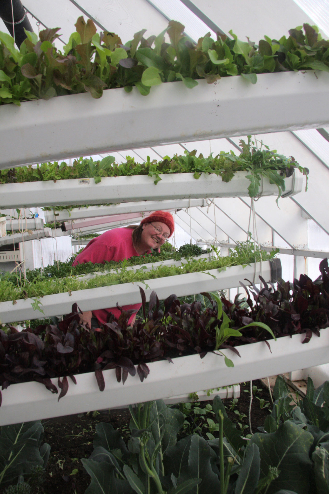 Comienzos granja Perfil: Carol Ford y Chuck Waibel - Land Stewardship