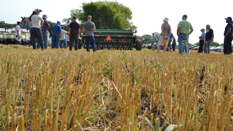 Farmers Make Decisions Based on Risk
