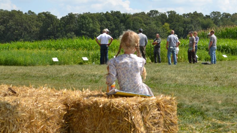 Accessing Farmland