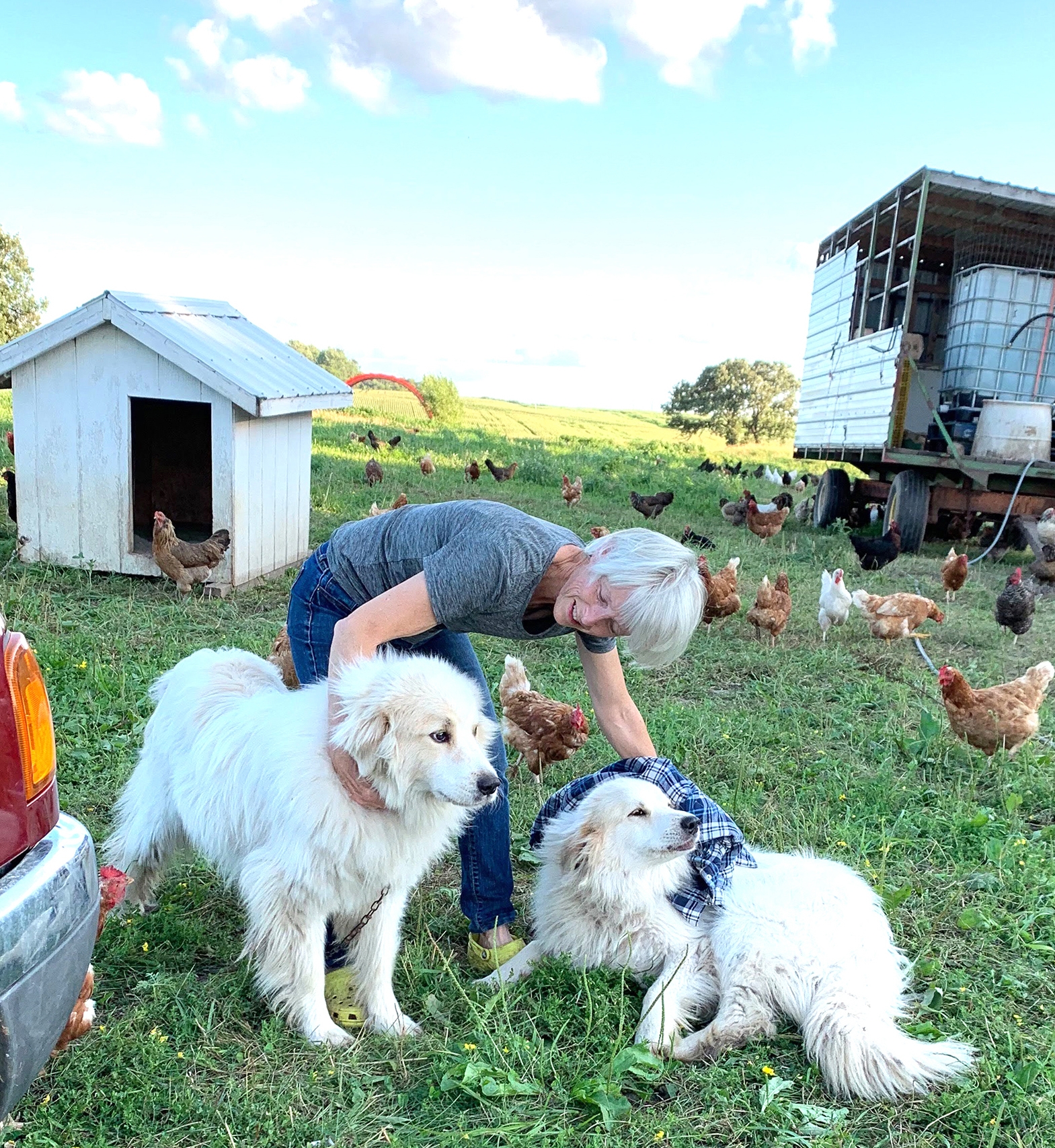 Innovative Grazing, Marketing Techniques Featured at SE MN Pasture ...