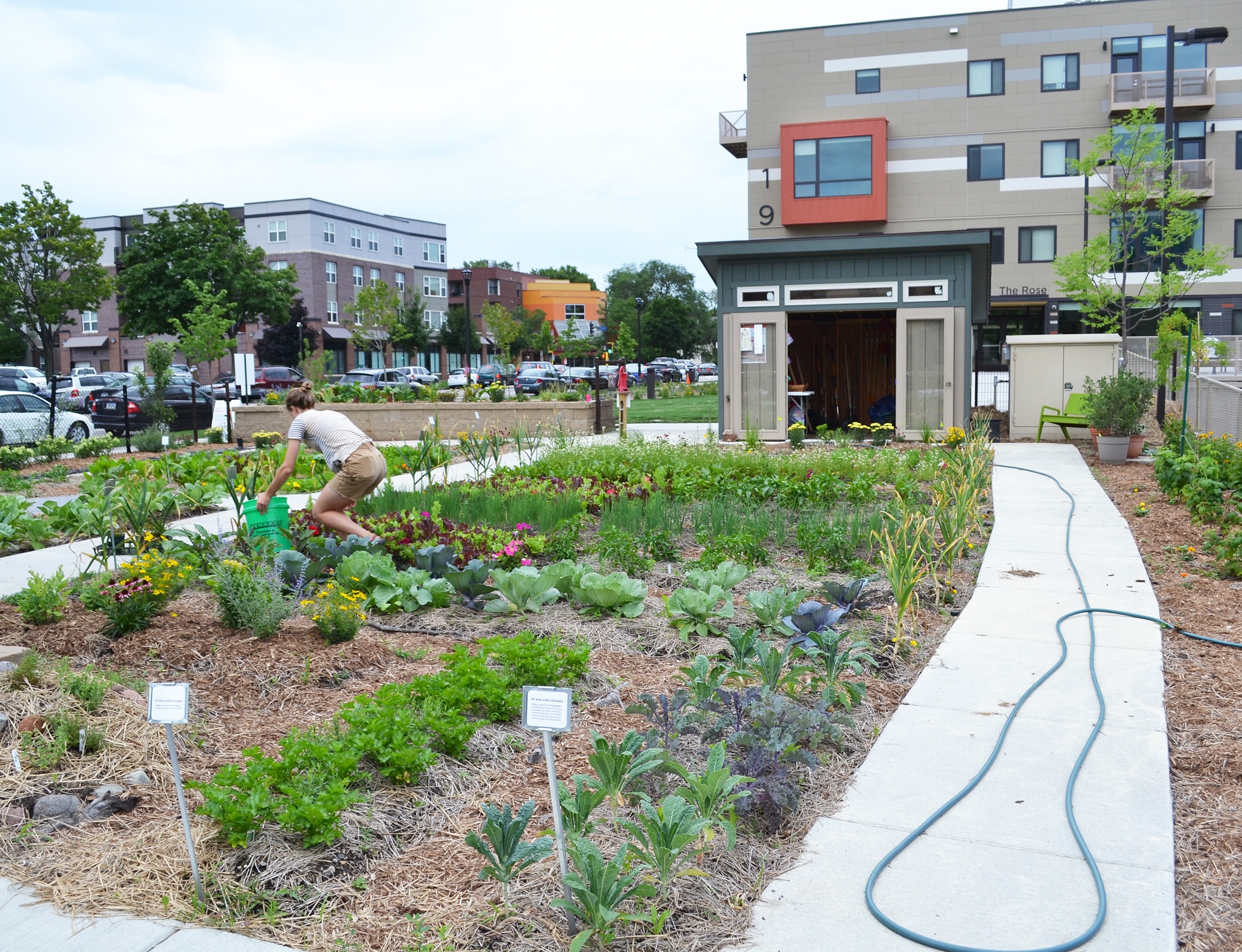 Ear to the Ground 339: Urban Ag’s Moment
