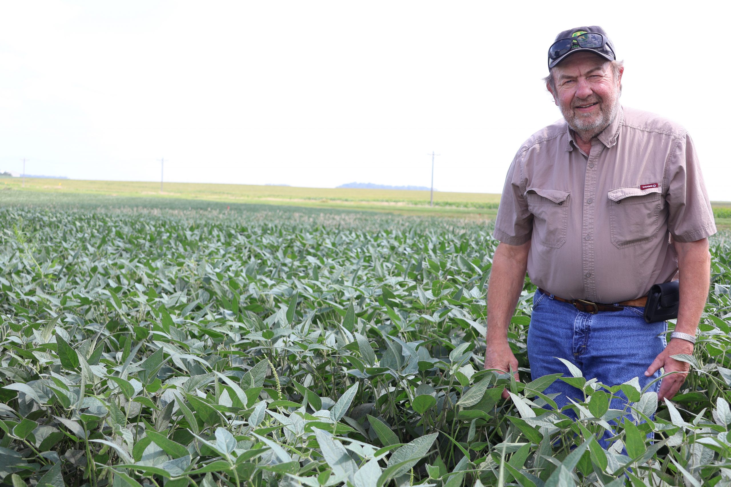 Ear to the Ground 351: Less Tillage, More Money