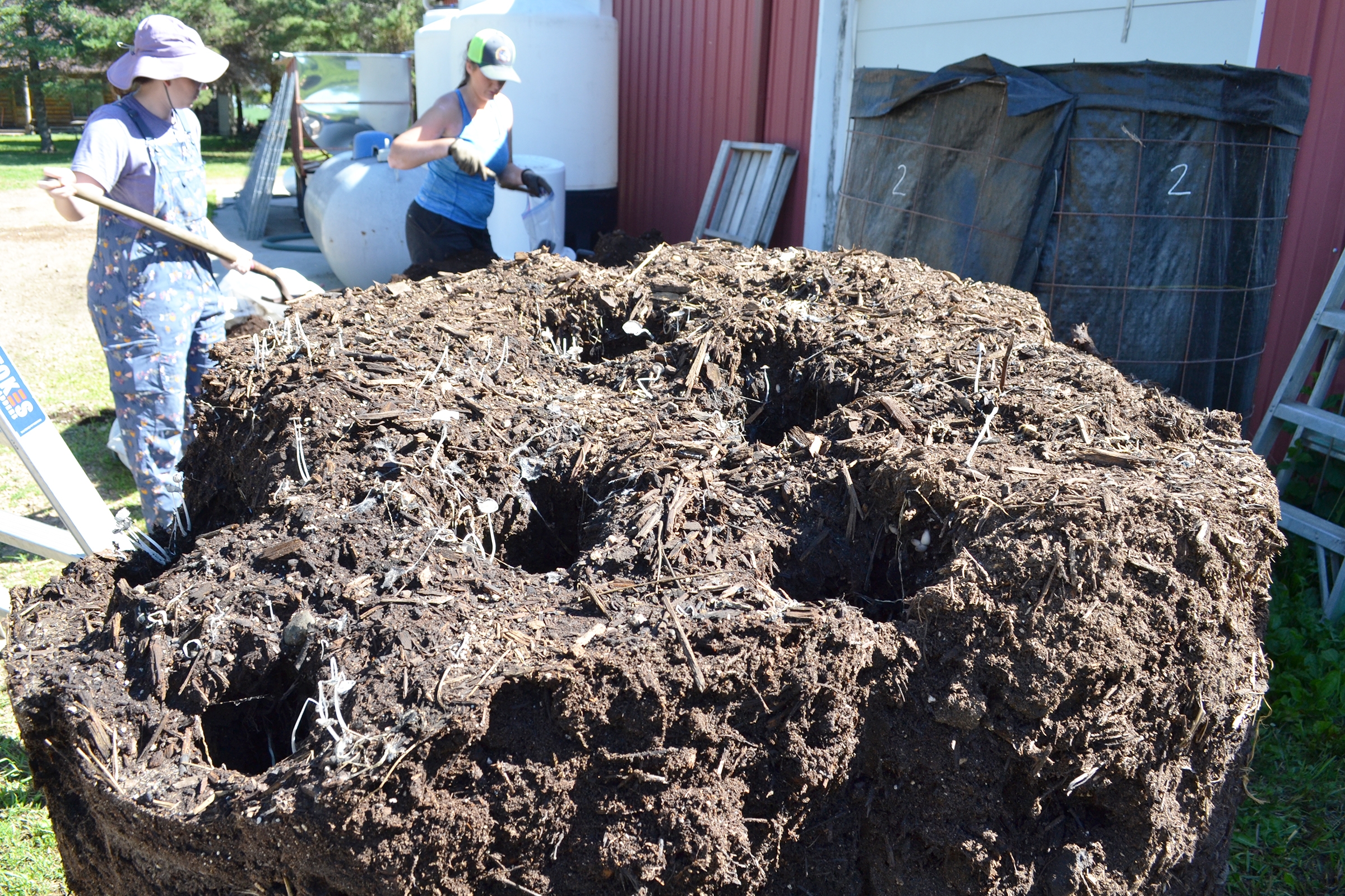 Ear to the Ground 292: Working the Microbes