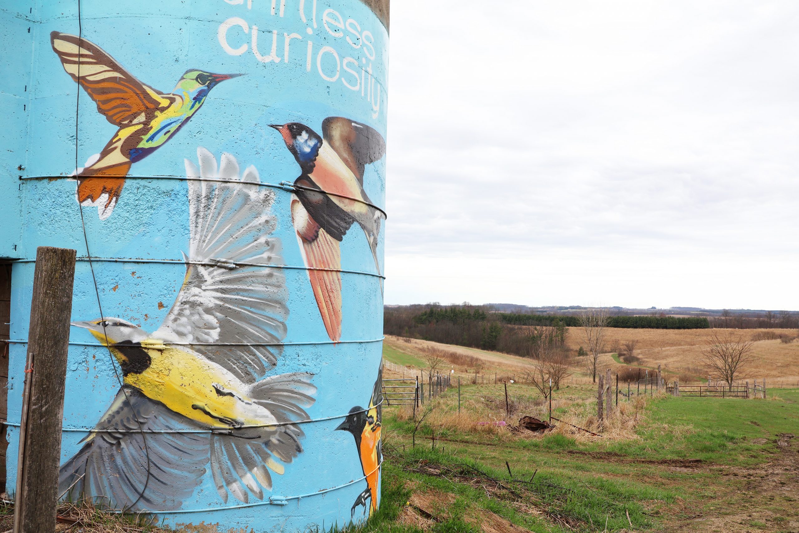 Ear to the Ground 371: Avian Award