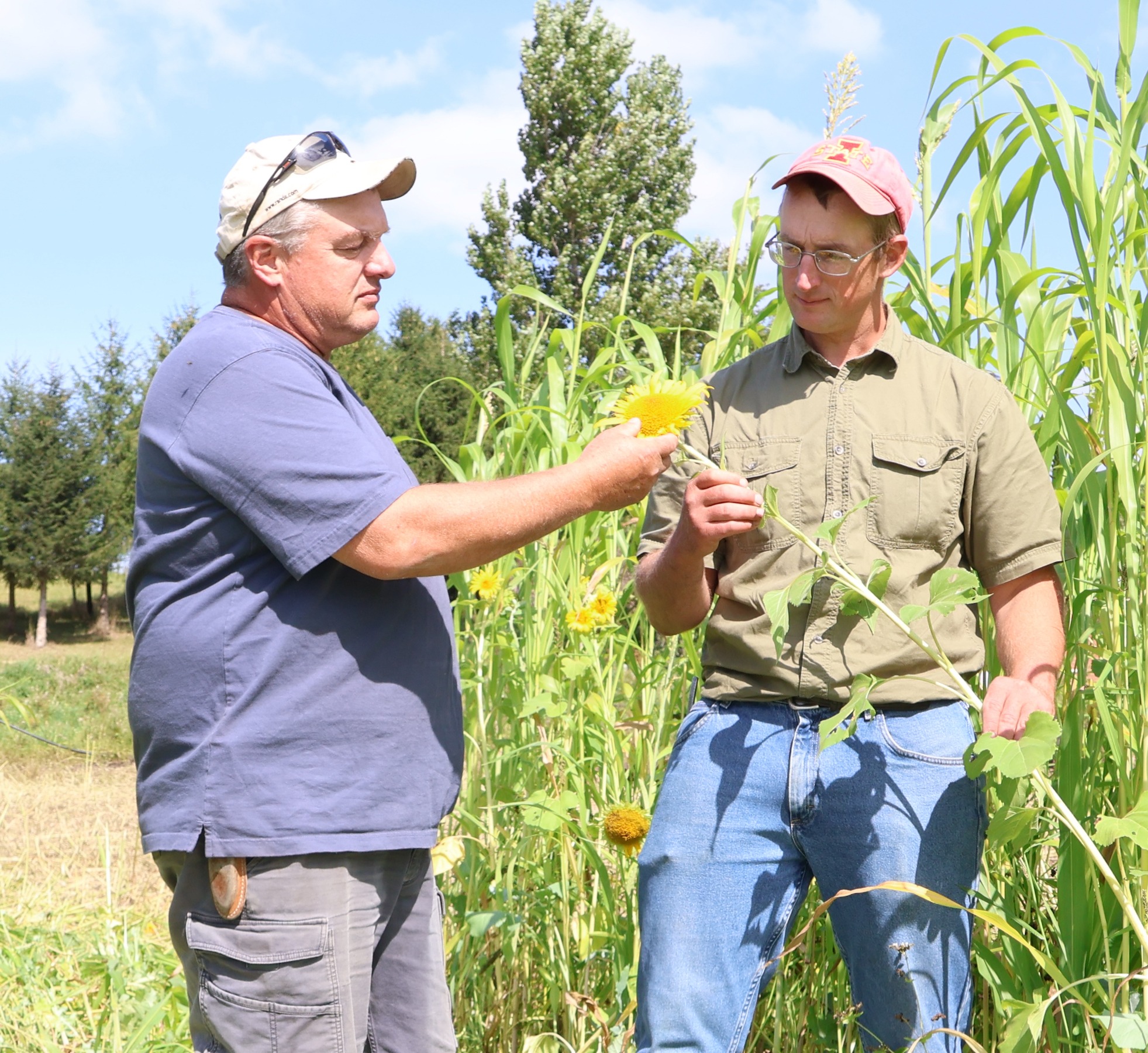 Ear to the Ground 345: Grazing’s Generational Jump