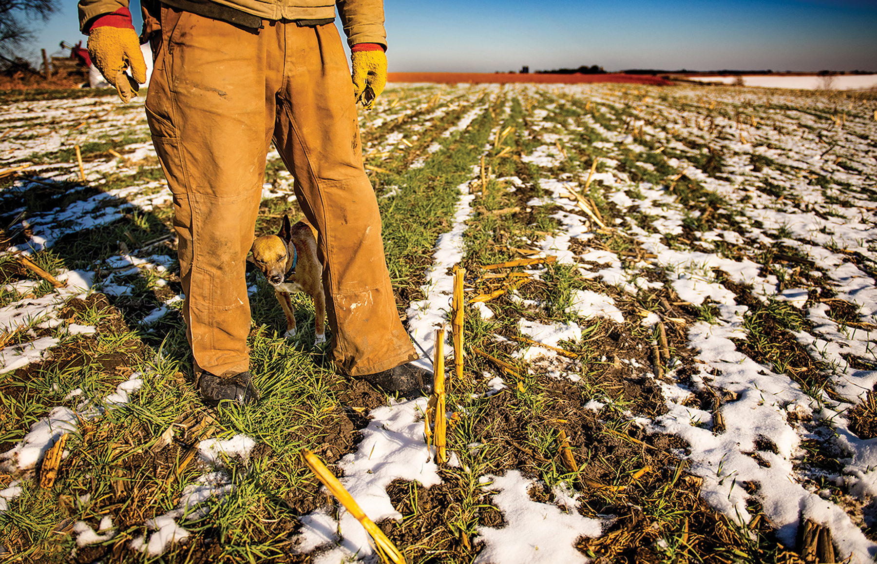 Ear to the Ground 326: Rooting Out Nitrates