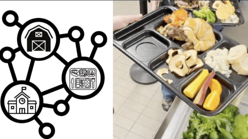 Building the Farm to School Network Report