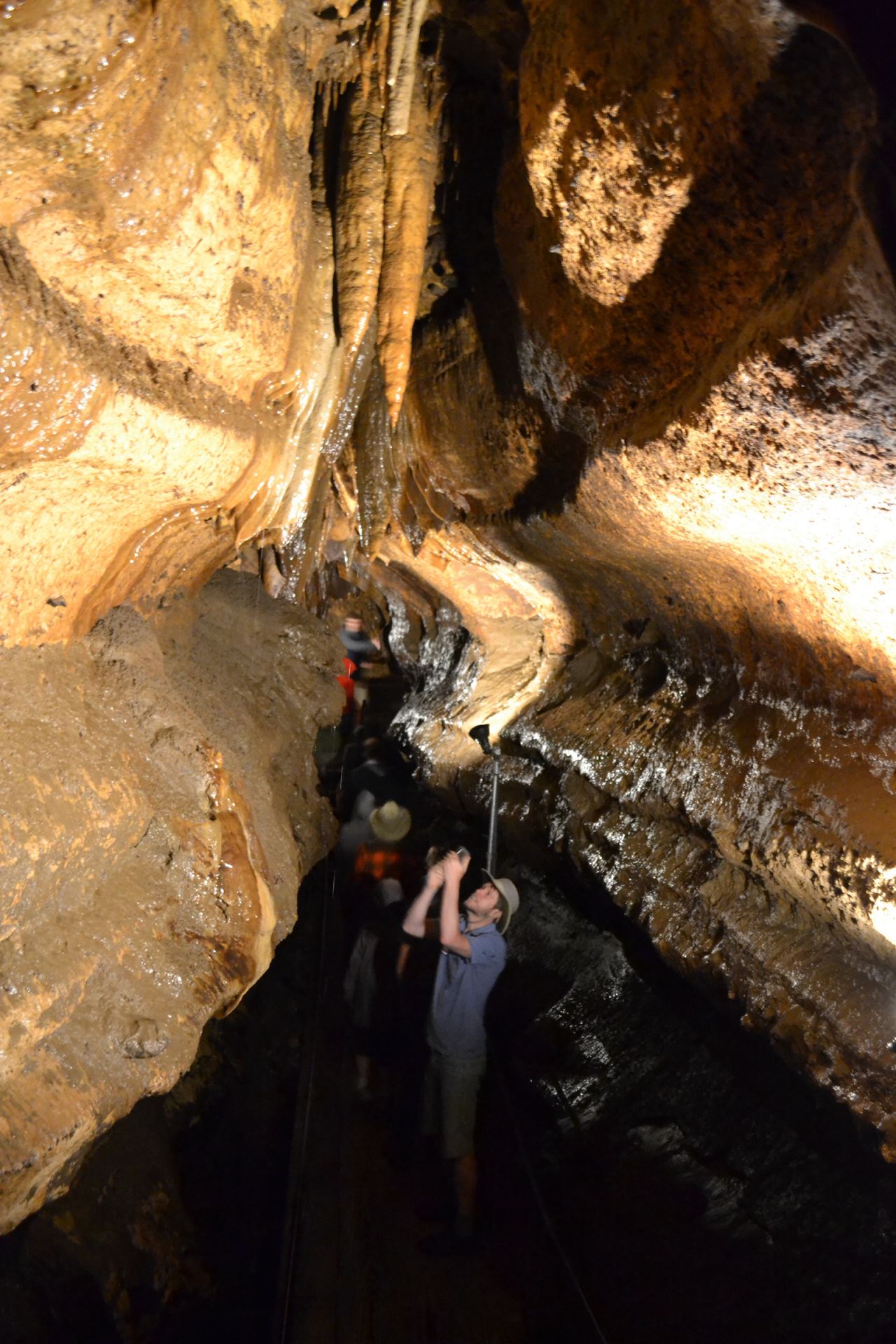 Ear to the Ground 231: Caves Don’t Lie