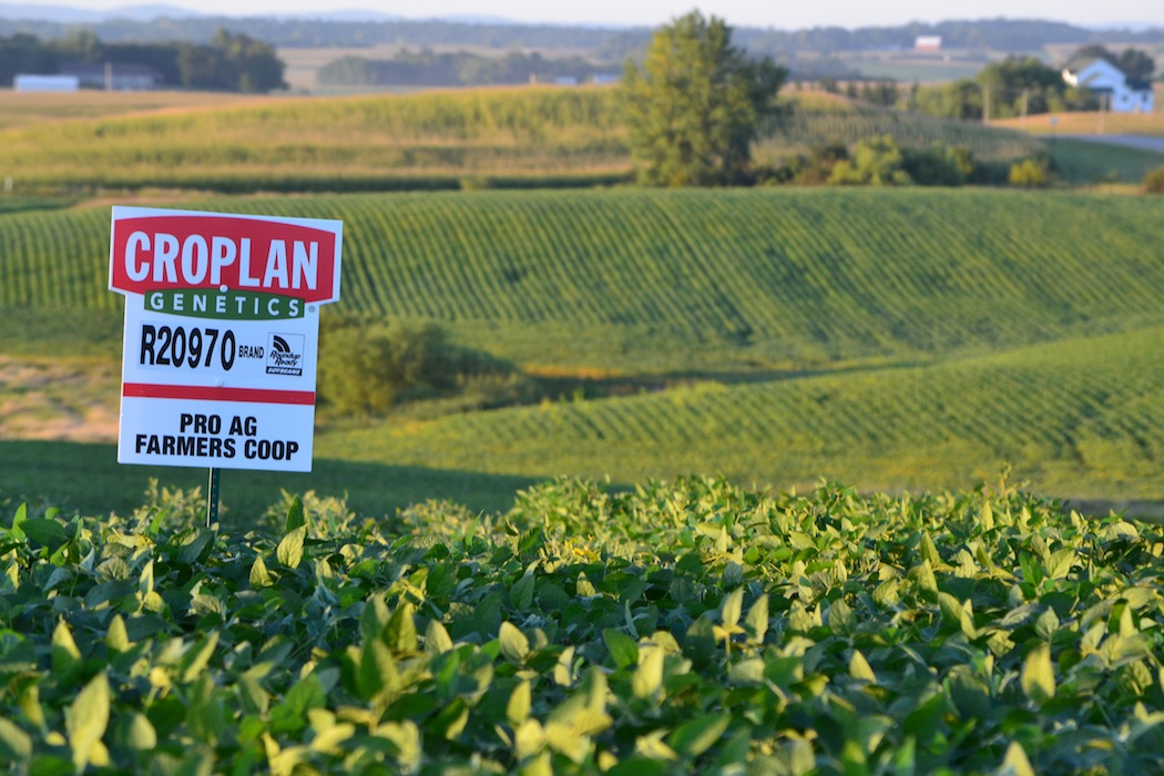 Ear to the Ground 164: No GMO